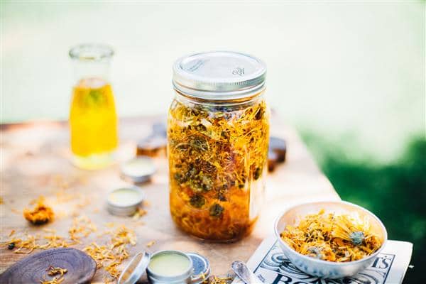 Calendula Oil