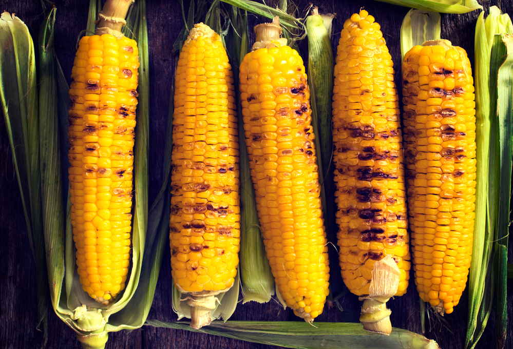 barbequed corn on the cob
